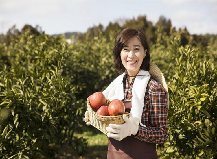 【潤康】磨煤機(jī)磨輥與您分享：互聯(lián)網(wǎng)巨頭紛紛賣菜，農(nóng)民會不會被“割韭菜”？